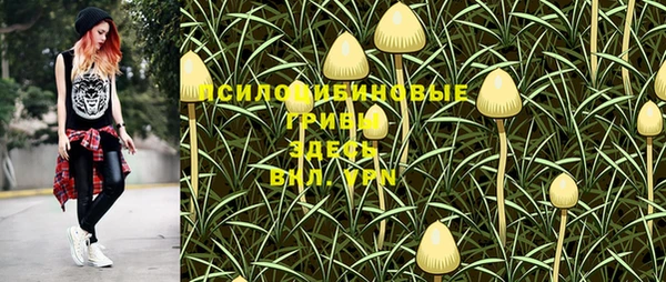 spice Пролетарск