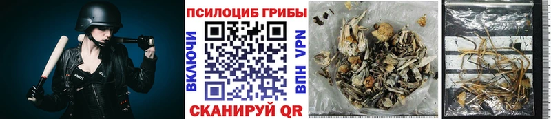 Галлюциногенные грибы MAGIC MUSHROOMS  Полесск 