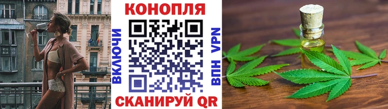 площадка состав  Полесск  Бошки марихуана Amnesia 